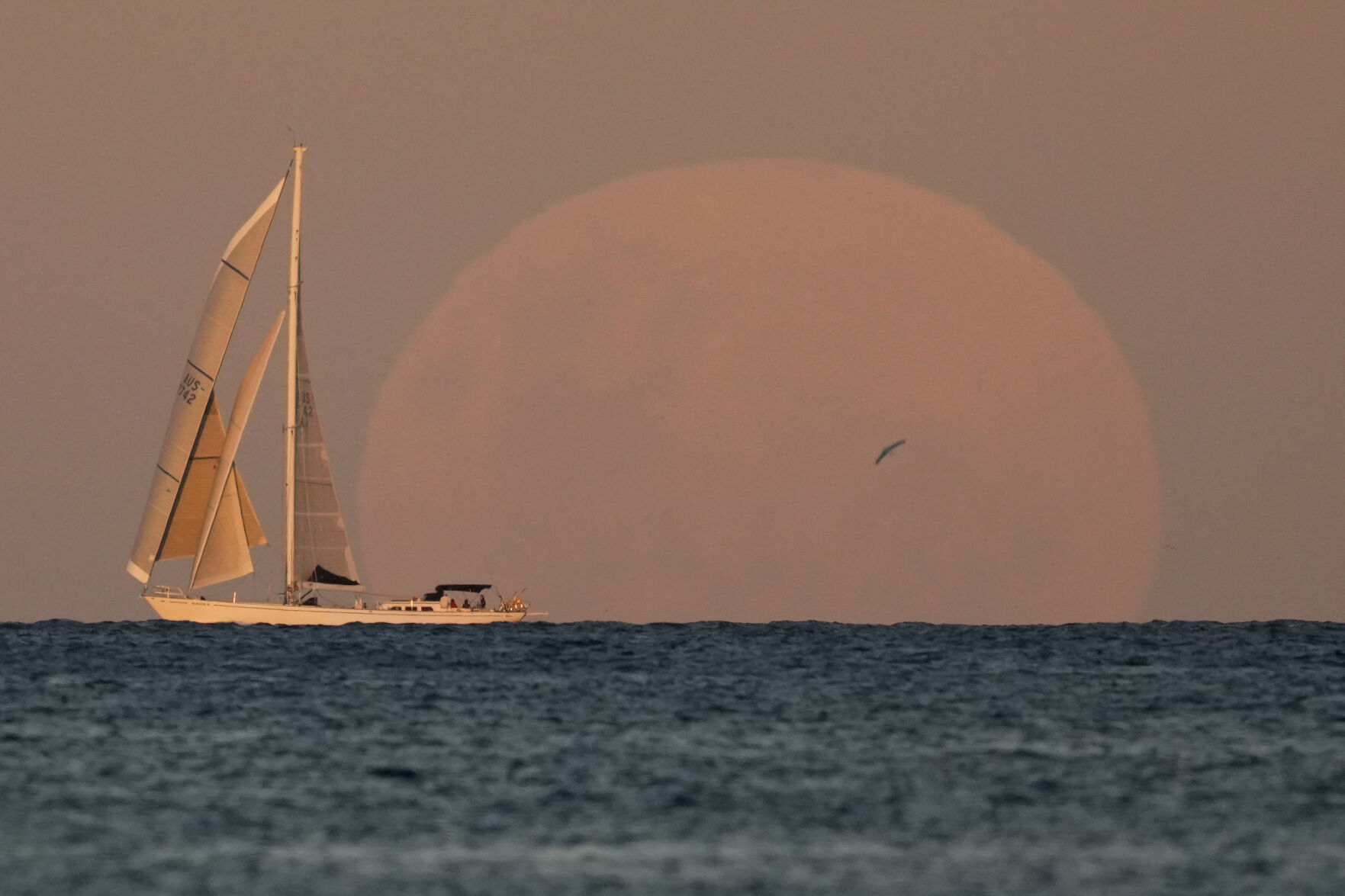 Lunar Eclipse Photo Gallery